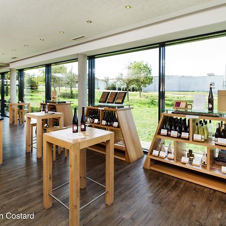 Meyerhof - Bioweingut, Vinothek & Gaestehaus Flonheim Kültér fotó