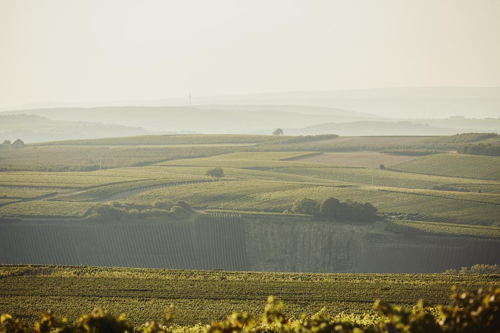 Meyerhof - Bioweingut, Vinothek & Gaestehaus Flonheim Kültér fotó