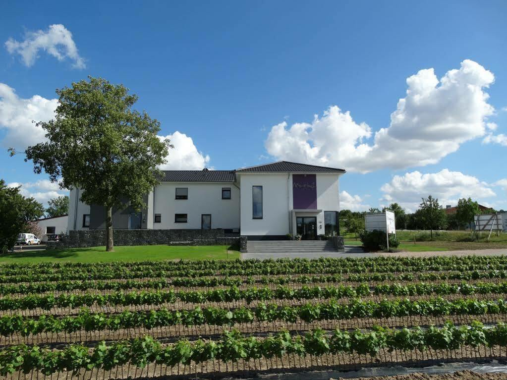 Meyerhof - Bioweingut, Vinothek & Gaestehaus Flonheim Kültér fotó